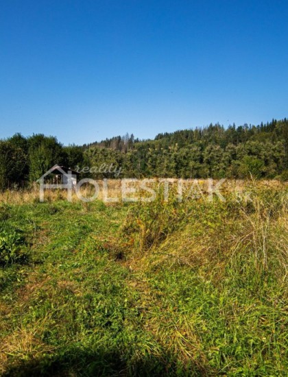 https://www.pavolholestiak.sk/storage/properties/101/thumb/predam-dva-krasne-rovinate-stavebne-pozemky-centrum-rakova_0.jpg?t=1704979007