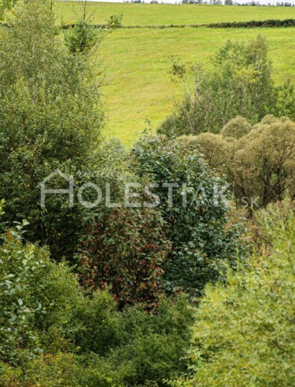 https://www.pavolholestiak.sk/storage/properties/103/thumb/predam-pozemok-nad-kycerkou-cadca-iba-u-nas_0.jpg?t=1664208965