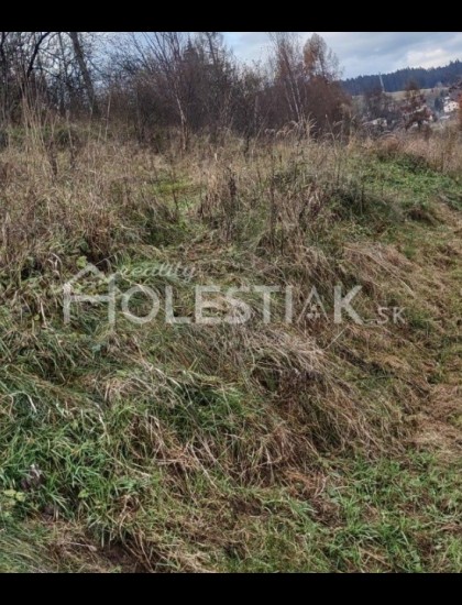 https://www.pavolholestiak.sk/storage/properties/115/thumb/rezervovane-predam-krasny-pozemok-pre-dva-rodinne-domy-v-obci-cierne_0.jpg?t=1676227532