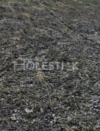 https://www.pavolholestiak.sk/storage/properties/124/thumb/odporucane-predam-pekny-stavebny-pozemok-v-obci-cierne-plus-navyse-m2-iba-u-nas_0.jpg?t=1683700379