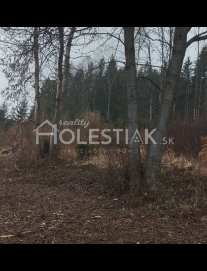 https://www.pavolholestiak.sk/storage/properties/132/thumb/predam-exkluzivne-krasne-pozemky-kysucke-nove-mesto_0.jpeg?t=1784252590