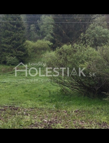 https://www.pavolholestiak.sk/storage/properties/139/thumb/zaujimava-cena-predam-pekne-rovinate-pozemky-pri-ceste-v-obci-oscadnica-smer-rovne-iba-u-nas_0.jpg?t=1687511738