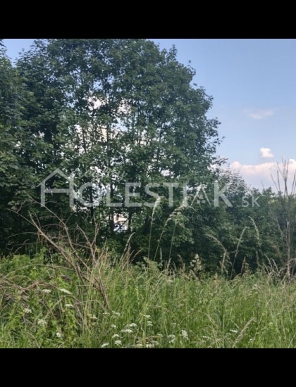 https://www.pavolholestiak.sk/storage/properties/142/thumb/predam-stavebny-pozemok-cadca-horelica-iba-u-nas_0.jpg?t=1688643950