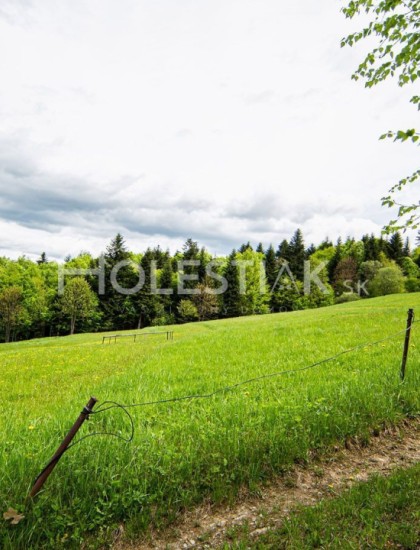 https://www.pavolholestiak.sk/storage/properties/16/thumb/predaj-pekny-pozemok-v-obci-skalite-exkluzivne-iba-u-nas_0.jpg?t=1635842804