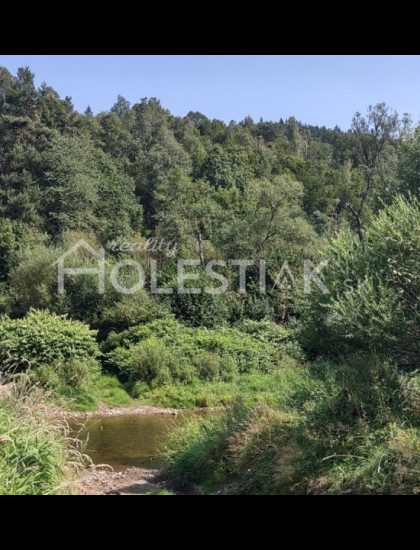 https://www.pavolholestiak.sk/storage/properties/169/thumb/odporucane-predam-pozemok-v-cadci-pod-jurosakom_0.jpg?t=1715679112
