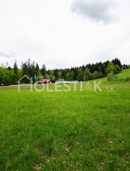 https://www.pavolholestiak.sk/storage/properties/17/thumb/predaj-dvoch-peknych-pozemkov-pri-sebe-na-kysuciach-v-obci-skalite_0.jpg?t=1625130100