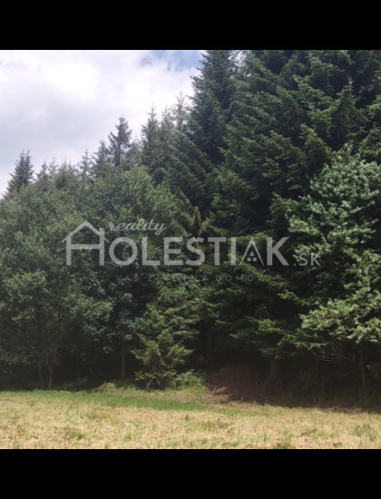 https://www.pavolholestiak.sk/storage/properties/180/thumb/predam-stavebny-pozemok-skalite-iba-u-nas_0.jpeg?t=1784252592