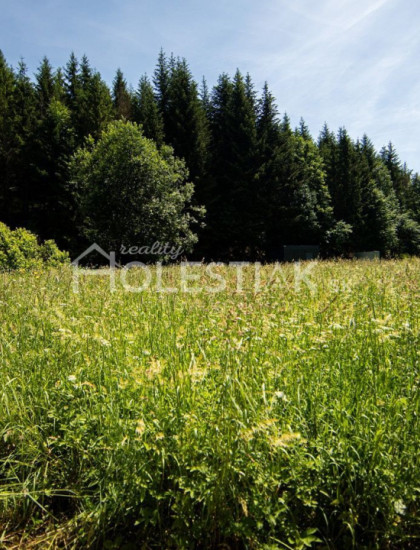 https://www.pavolholestiak.sk/storage/properties/213/thumb/zvyhodnena-cena-predam-velky-pozemok-v-obci-skalite_0.jpeg?t=1784252586