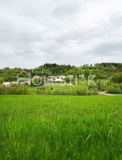 https://www.pavolholestiak.sk/storage/properties/26/thumb/predam-pozemok-v-obci-skalite-na-kysuciach-498-m2_0.jpg?t=1635842810