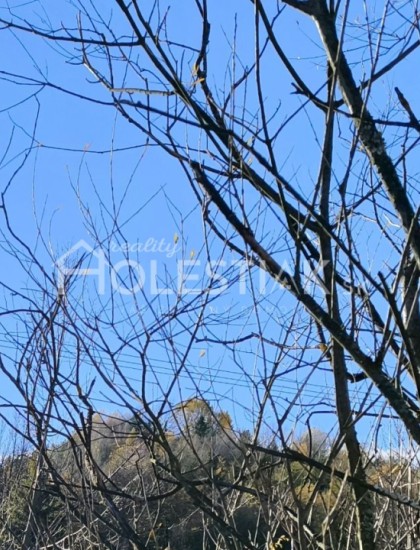 https://www.pavolholestiak.sk/storage/properties/268/thumb/predam-rodinny-dom-v-centre-knm-s-2-oma-ziskovymi-prev-iba-u-nas_0.jpg?t=1699980337