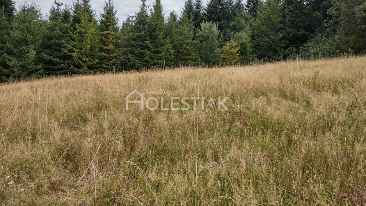 Predám pekný, väčší pozemok v obci Skalité, Kysuce - exkluzívne