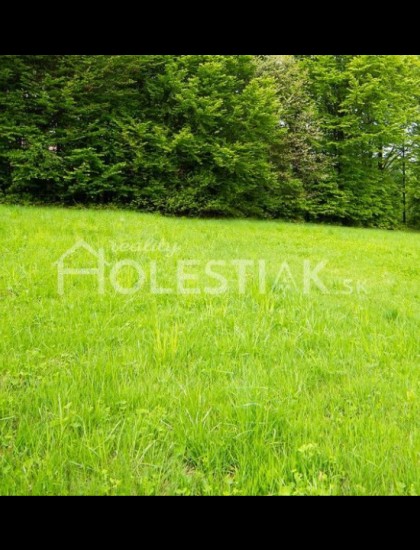 https://www.pavolholestiak.sk/storage/properties/27/thumb/predam-pekny-vacsi-pozemok-v-obci-skalite-kysuce-exkluzivne_0.jpg?t=1663827389