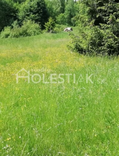 https://www.pavolholestiak.sk/storage/properties/29/thumb/znizena-cena-predam-5-pozemkov-pri-sebe-v-obci-skalite-exkluzivne_0.jpg?t=1668714338