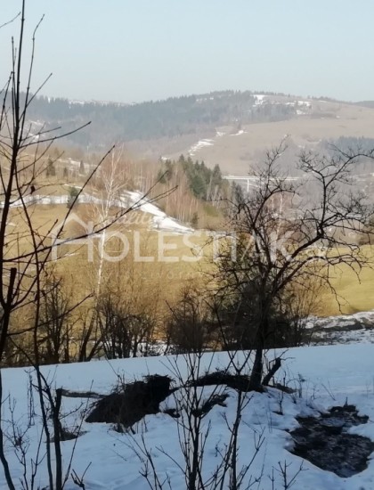 https://www.pavolholestiak.sk/storage/properties/32/thumb/predam-vacsi-pozemok-na-kysuciach-obec-skalite-exkluzivne-9_0.jpg?t=1625618731