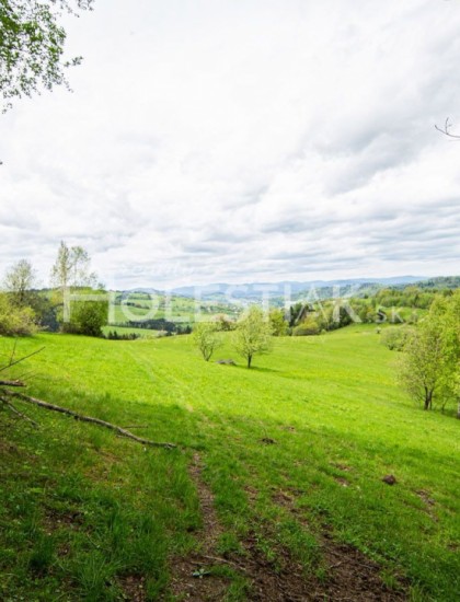 https://www.pavolholestiak.sk/storage/properties/33/thumb/predaj-nadherny-vacsi-pozemok-na-kysuciach-skalite-exkluzivne-10_0.jpg?t=1625612434