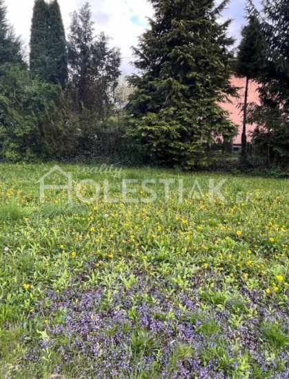https://www.pavolholestiak.sk/storage/properties/370/thumb/rovinaty-stavebny-pozemok-rajecke-teplice_0.jpg?t=1713690970