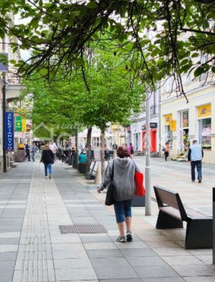 https://www.pavolholestiak.sk/storage/properties/373/thumb/zvyhodnena-cena-dam-do-prenajmu-obchodne-priestory-centrum-zilina-narodna_0.jpg?t=1733275862