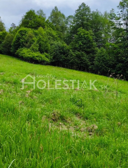 https://www.pavolholestiak.sk/storage/properties/378/thumb/predam-pozemky-v-meste-cadca-iba-u-nas_0.jpeg?t=1784252585