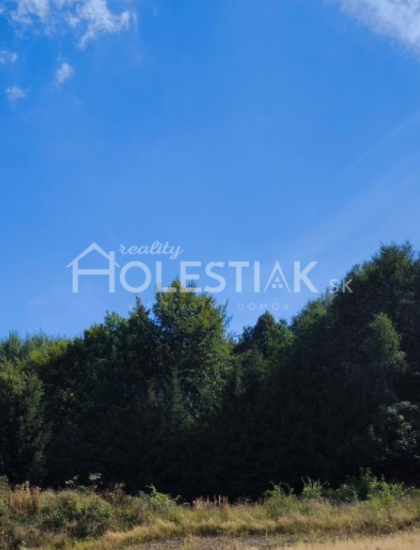 https://www.pavolholestiak.sk/storage/properties/398/thumb/zaujimava-cena-predam-vacsi-pozemok-v-obci-skalite-iba-u-nas_0.png?t=1779094623