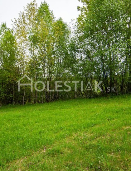 https://www.pavolholestiak.sk/storage/properties/4/thumb/predaj-iba-u-nas-pekneho-pozemok-532-m2-za-vybornu-cenu-v-obci-skalite_0.jpg?t=1642613480