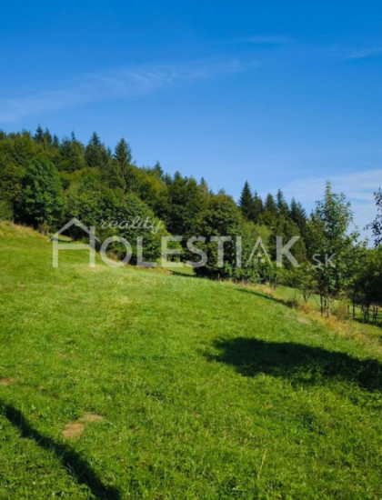 https://www.pavolholestiak.sk/storage/properties/400/thumb/predam-pozemky-vysoka-nad-kysucou-iba-u-nas_0.jpg?t=1725107463