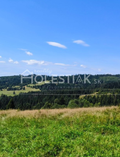 https://www.pavolholestiak.sk/storage/properties/402/thumb/predam-pozemok-v-obci-oscadnica-iba-u-nas_0.jpeg?t=1784252587