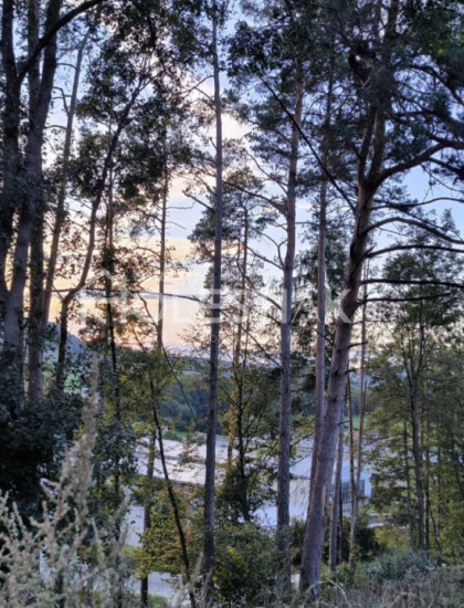 https://www.pavolholestiak.sk/storage/properties/409/thumb/predam-velky-pozemok-v-obci-dolny-lieskov-okr-pb-iba-u-nas_0.jpeg?t=1784252591