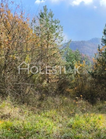 https://www.pavolholestiak.sk/storage/properties/420/thumb/predam-pozemok-pod-chatu-hlboke-nad-vahom-iba-u-nas_0.jpeg?t=1784252583