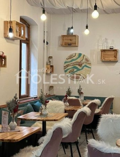 https://www.pavolholestiak.sk/storage/properties/426/thumb/dam-do-prenajmu-krasne-priestory-narodna-zilina-120-m2_0.jpg?t=1733781669