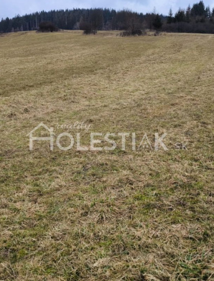https://www.pavolholestiak.sk/storage/properties/434/thumb/rezervovane-predam-pekny-vacsi-pozemok-rakova-iba-u-nas_0.jpg?t=1749809769