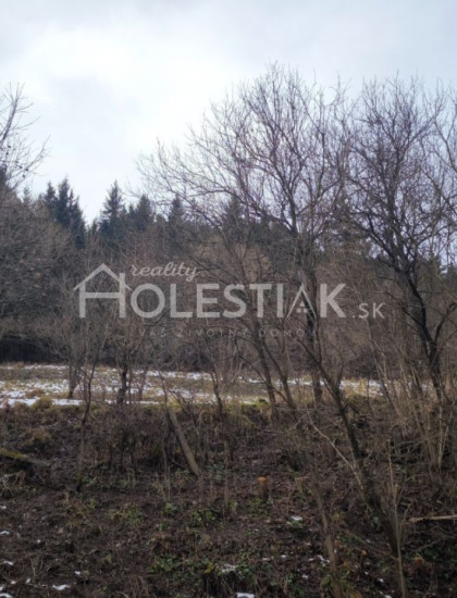 https://www.pavolholestiak.sk/storage/properties/436/thumb/predam-pozemky-svrcinovec-iba-u-nas_0.jpeg?t=1784252587