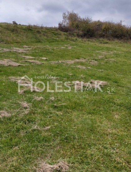 https://www.pavolholestiak.sk/storage/properties/44/thumb/znizena-cena-exkluzivne-predam-pekny-pozemok-pri-ceste-v-obci-rakova_0.jpg?t=1666071032