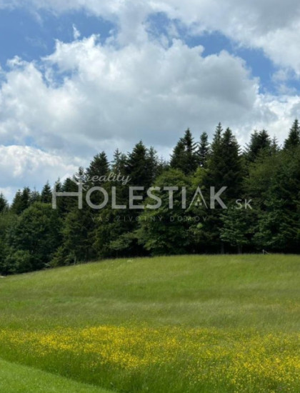 https://www.pavolholestiak.sk/storage/properties/45/thumb/predam-luxusny-novy-dom-s-fotovolt-a-vinnou-pivnickou-skalite_0.jpeg?t=1784252581