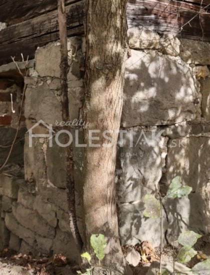 https://www.pavolholestiak.sk/storage/properties/46/thumb/rezervovane-iba-u-nas-na-predaj-starsi-rodinny-dom-v-obci-skalite-s-velkym-pozemkom-4574-m2-dalsie-prilahle-pozemky_0.jpg?t=1637748035