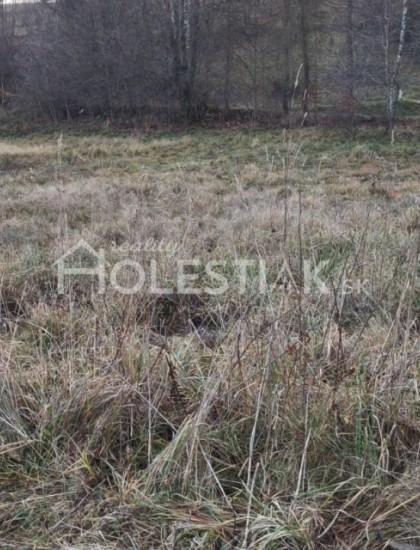 https://www.pavolholestiak.sk/storage/properties/48/thumb/rezervovane-predam-rovinaty-stavebny-pozemok-vsetky-is-1346-m2-v-obci-skalite-exkluzivne_0.jpg?t=1638639932