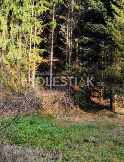 https://www.pavolholestiak.sk/storage/properties/481/thumb/predam-pekny-pozemok-na-chatu-kysuce-iba-u-nas_0.jpeg?t=1784630282