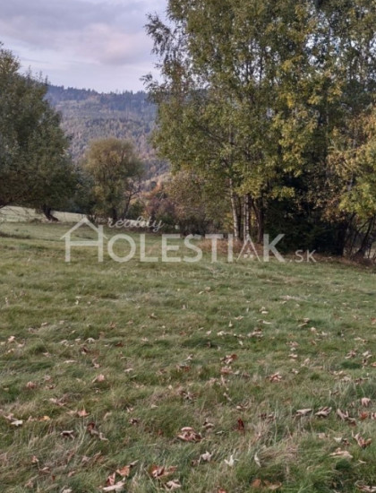 https://www.pavolholestiak.sk/storage/properties/50/thumb/exkluzivne-predam-pozemky-v-obci-oscadnica_0.jpeg?t=1784252641