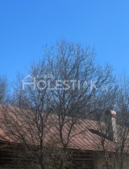 https://www.pavolholestiak.sk/storage/properties/507/thumb/predam-na-polosamote-domcek-vysoka-nad-kysucou-iba-u-nas_0.jpeg?t=1784252647