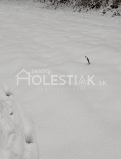 https://www.pavolholestiak.sk/storage/properties/51/thumb/znizena-cena-predam-krasny-pozemok-v-obci-cierne-okr-cadca-612-m2-is-v-dosahu-20-m-exkluzivne_0.jpg?t=1673389844