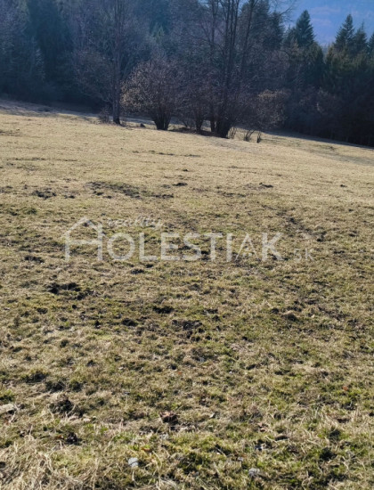 https://www.pavolholestiak.sk/storage/properties/512/thumb/predam-pozemky-zakopcie-extravilan_0.jpeg?t=1784252646