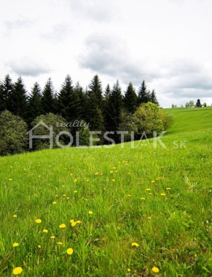 https://www.pavolholestiak.sk/storage/properties/6/thumb/zvyhodnena-cena-predaj-pozemok-v-obci-skalite-exkluzivne_0.jpg?t=1705186842