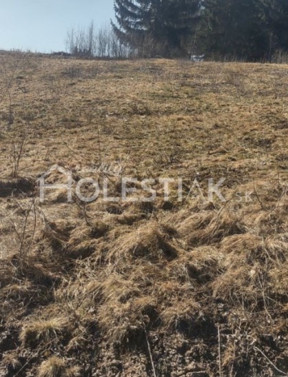 https://www.pavolholestiak.sk/storage/properties/73/thumb/predam-pekny-pozemok-uz-so-staveb-povolenim-olesna_0.jpg?t=1657274443