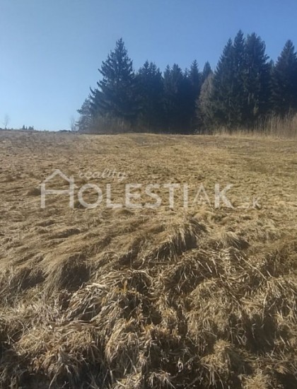 https://www.pavolholestiak.sk/storage/properties/74/thumb/rezervovane-predam-krasny-pozemok-so-staveb-povol-olesna_0.jpg?t=1662364833