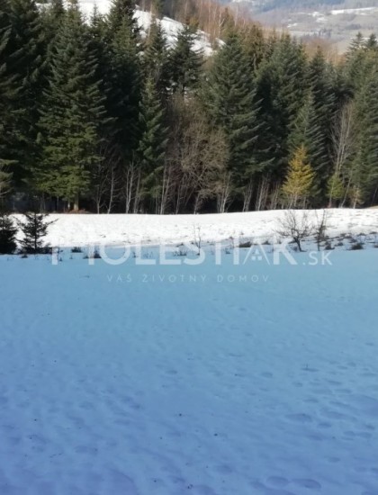 https://www.pavolholestiak.sk/storage/properties/8/thumb/predaj-mensi-pozemok-za-vyhodnu-cenu-v-obci-skalite-exkluzivne_0.jpg?t=1635842793