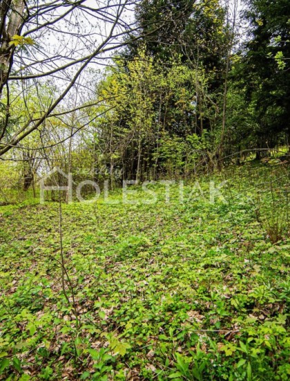 https://www.pavolholestiak.sk/storage/properties/9/thumb/rezervovane-predaj-pozemku-exkluzivne-v-obci-skalite-za-vyhodnu-cenu_0.jpg?t=1638268439